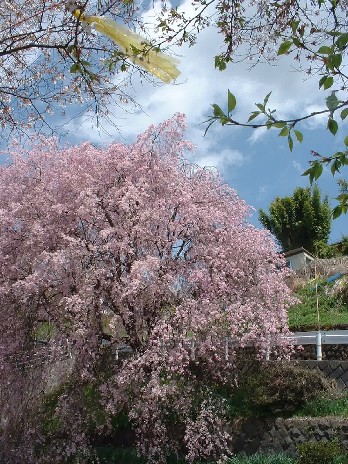 2004_Outbound_Japan_10