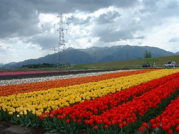 2004_Outbound_Japan_20