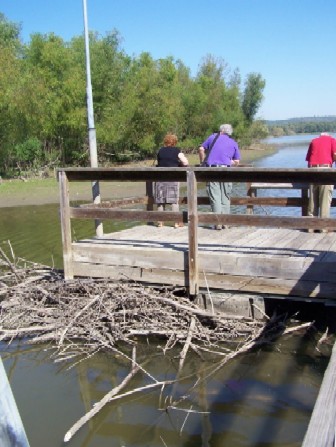 Ambassadors Visit the Two Rivers National Wildlife Refuge