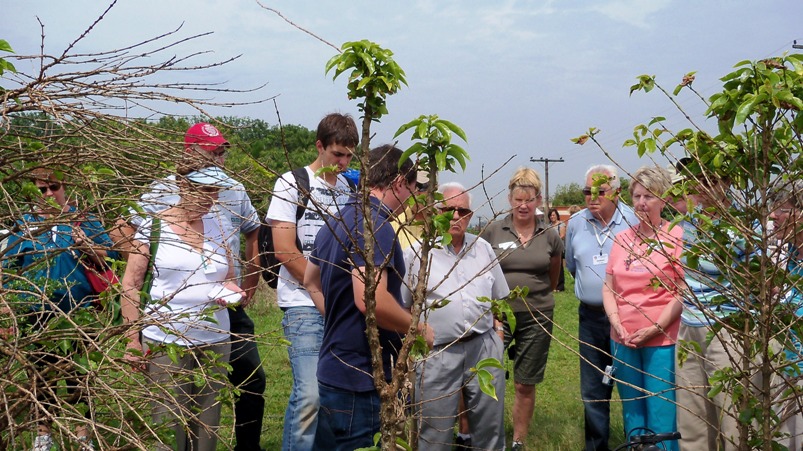 Agronomist Explains How Coffee Is Grown